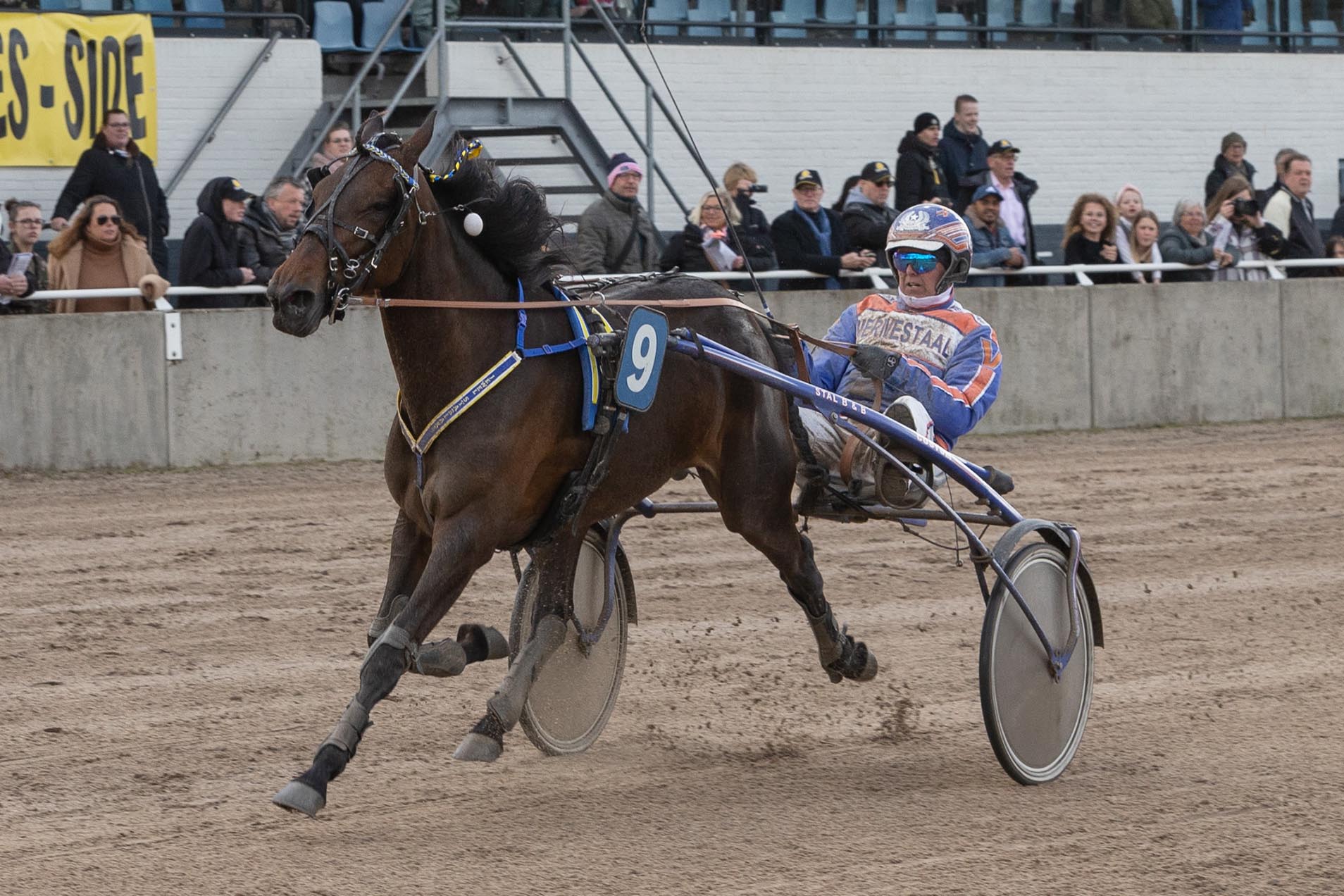 Paasdagen, ouderwets gezellig Alkmaar ZEturf Arena
